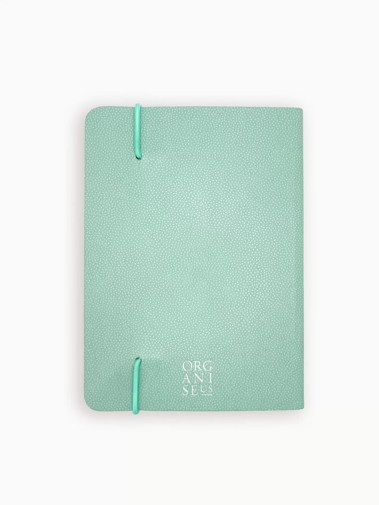 Notebooks*ORGANISE-US WELLNESS JOURNAL MINT GREEN